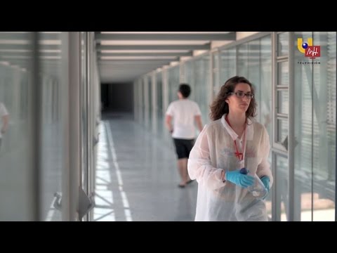 UMH TV -