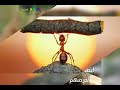 اجمل صور عن التواضع