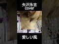 矢沢永吉”愛しい風”cover#short