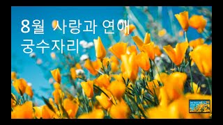 2020년 8월 사랑 흐름 : 궁수자리 : 제너럴 리딩