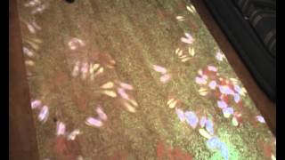 Interactive Floor - butterflies