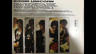 ユニコーン『BOOM』のアナログLPレコードを眺めて触って・・・