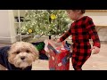 Puppy and Baby&#39;s Heartwarming Christmas Present Reactions!