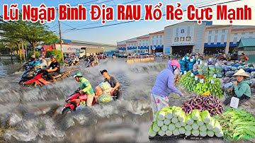 Lũ Ngập Bình Địa chợ Bình Điền nông sản RAU Xổ Rẻ Cực Mạnh Vẫn Ế sáng nay