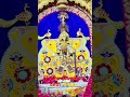 सेठों के सेठ सांवरिया सेठ जी के चमत्कारी दर्शन 🔱#sawariyaseth #hindutemple #shyamdarshan #sawariya
