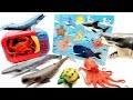 Learn Sea Animals With Wooden Puzzle! Shark, Crab, Whale, Octopus - Microwave Toys Learn Sea Animals With Wooden Puzzle! Shark, Crab, Whale, Octopus - Microwave Toys