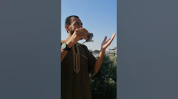 مذا فعلت بالعصفور الذي صدته في غزة 