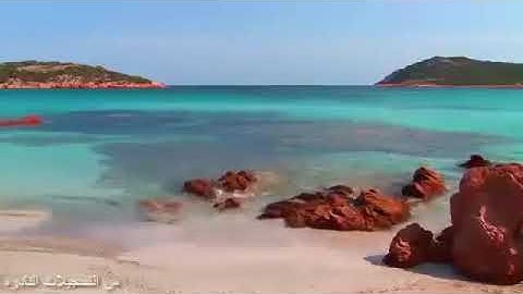 رائعة سورة مريم لفضيلة الشيخ/شحاته الهلالي وأداء رائع