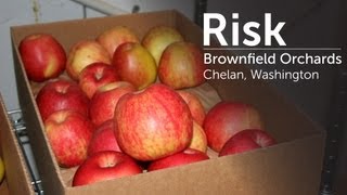 Brownfield Orchards