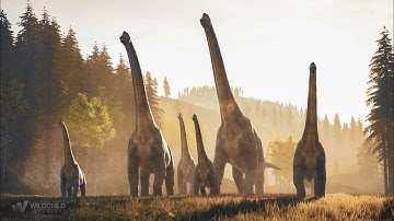 Brachiosaurus - 3D Animation