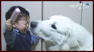 개가 아이스크림 뺏어 먹으려 하자.. 아기 반응ㅋㅋㅋ | 애니콘과 건무🐶 | KBS 주주클럽 031206 방송