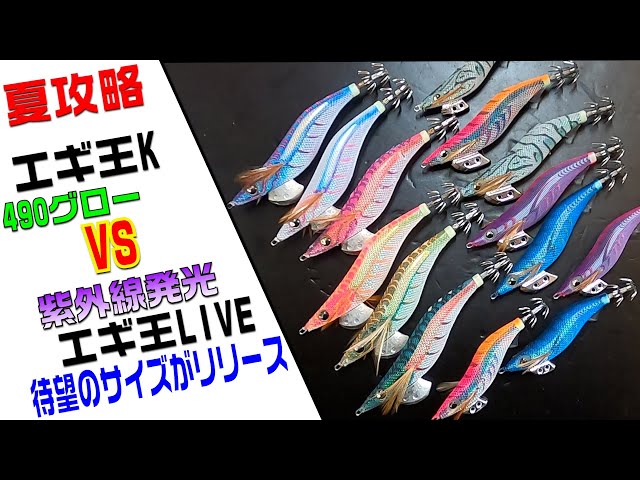 待望のエギがリリースされ店頭へ！見れば分かる紫外線と490⁉夏