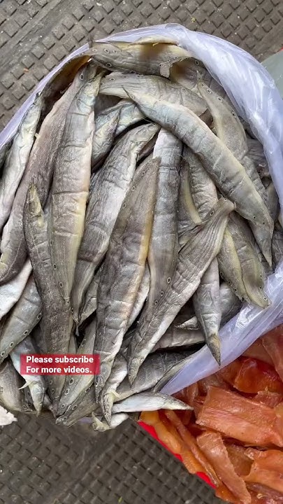 weird-food-in-asia-youtube