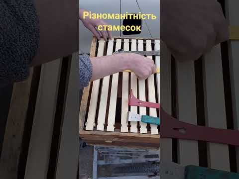 Бджолярські стамески. #bees