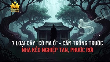 Bạn có đang trồng 7 LOẠI CÂY “CÓ MA Ở” – CẤM TRỒNG TRƯỚC NHÀ KẺO NGHIỆP TỚI, PHÚC RỜI này không?