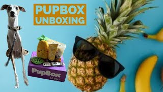 Biscotti opens his Pupbox! May, 2023 #pupbox