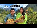 Cosechando frutas 🍑 para EL JUCHO 😋 - Ecuador