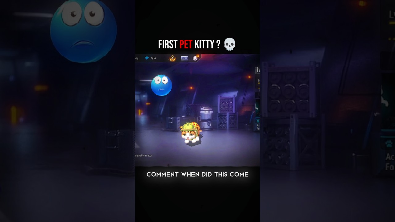 FIRST PET KITTY ? 💀