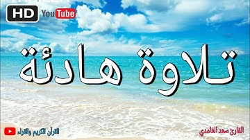 تلاوة هادئة جميلة تبث السكينة | بصوت القارئ سعد الغامدي ، سورة التغابن