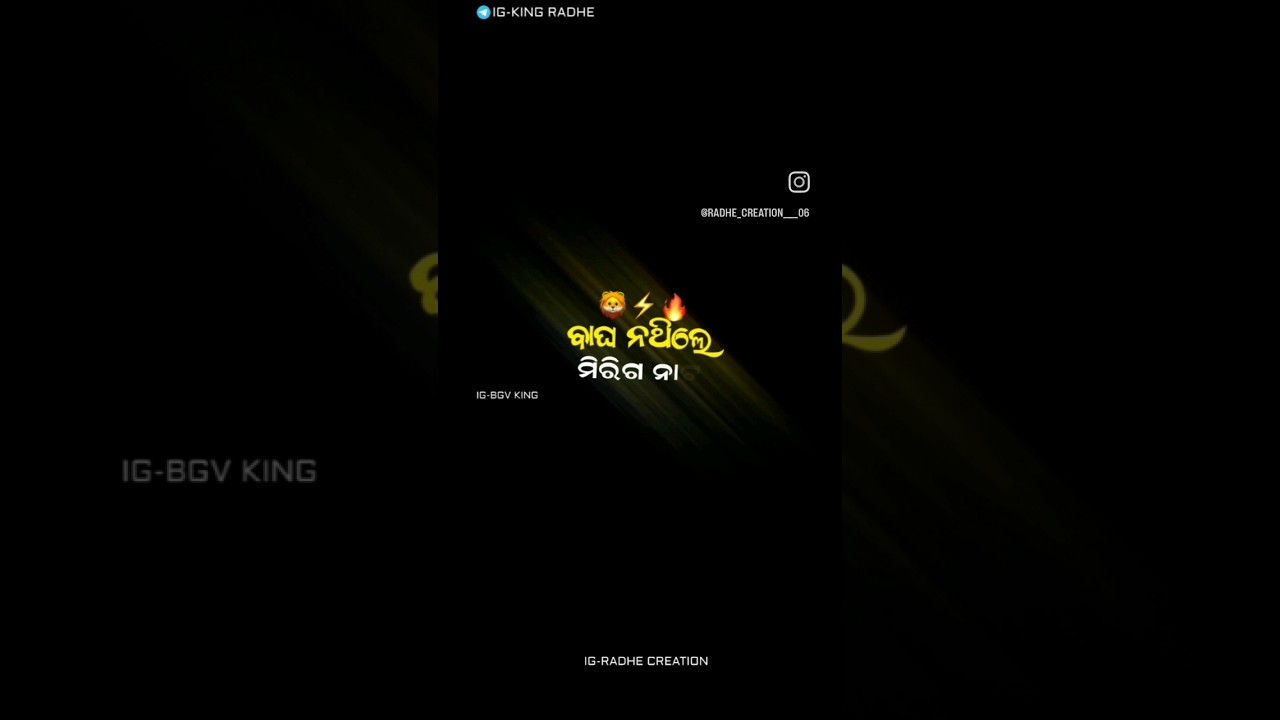 ବାଘ ନଥିଲେ ମିରିଗ ନାଟ ⛓️⛓️🪓🤬😡🖕💯Attitude song instagram status vedio editor. Youtube  #alightmotion