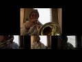 Fly Love (from Rio) Trumpet Cover