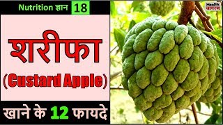 शरफ खन क 12 गजब क फयद Health Benefits Of Custard Apple - Health Jagran