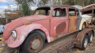Carchaeology: Limo Beetle walk around