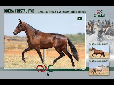 Obera Cristal PVB