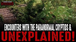 Encounters With Cryptids & The Unexplained - Volume #7