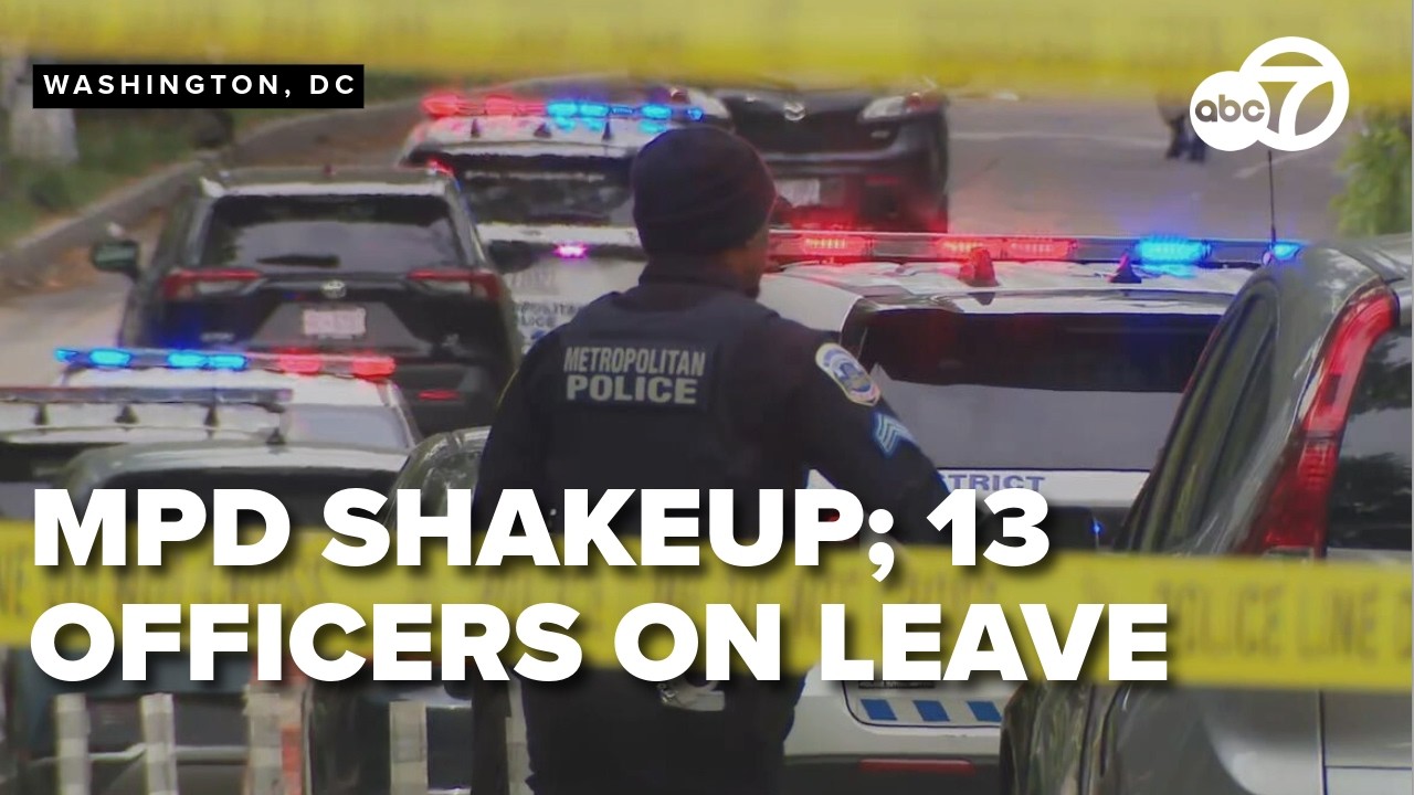 Mpd Paper MPD interim chief confirms 13 officials handed termination papers over ...