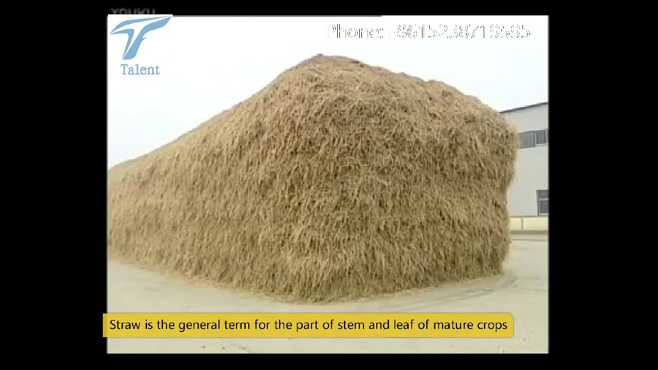 Biodegradable  Plates and glasses making from Rice Grass wheat Grass  - wheat straw