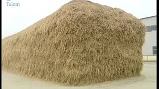 Biodegradable  Plates and glasses making from Rice Grass wheat Grass  - wheat straw