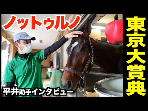 【東京大賞典2022】JDD覇者・ノットゥルノ　直前インタビュー「一番能力を発揮できる舞台」《東スポ競馬ニュース》