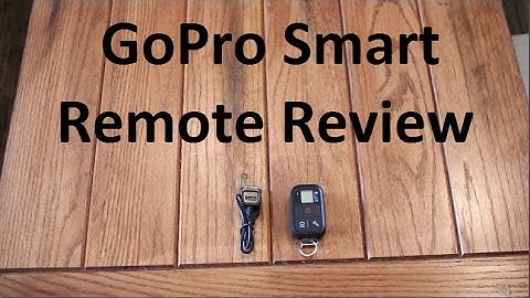 GoPro Smart Remote Review -  Great Holiday Gift?!?