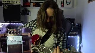 The Boss Chorus Ensemble - CE-5