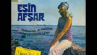 Esin Afşar - Niksarın Fidanları - 1970 Resimi