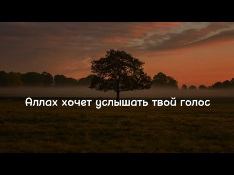 Аллах выбрал Нас для испытаний! (До слез) #islam #alhamdulillah #hedayat