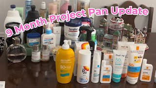 9 Month Project Pan Update | Becoming a Minimalist