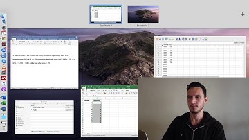 Mann–Whitney U test on SPSS with write up (APA style)