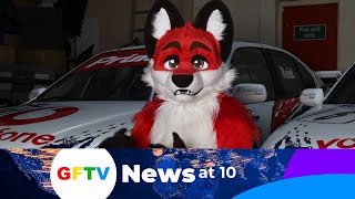 Furry News - GFTV News at 10 12/10/2020