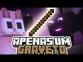 Zerei MINECRAFT usando UM GRAVETO