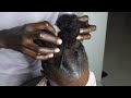 Let’s do this kids hairstyles on Lulu. 