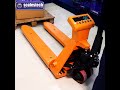 Warehouse Weighing Problems? Scalestech Pallet Scale Solves Everything #scalestech #warehouse