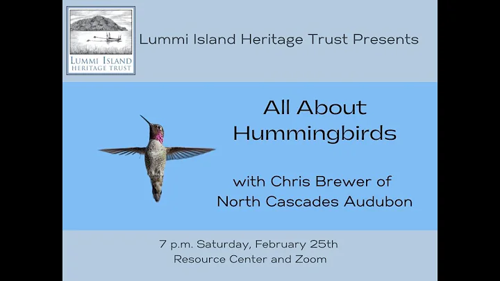 All About Hummingbirds with Chris Brewer of North ...