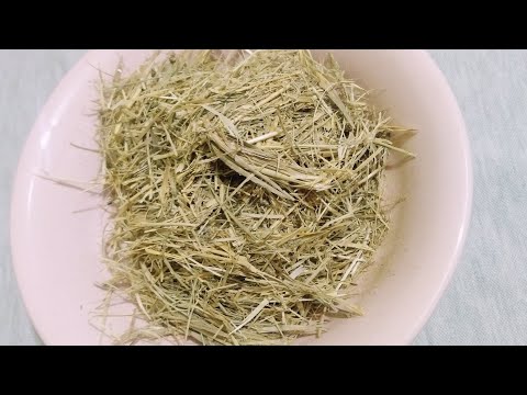 فوائد الحلفا بر لعلاج القولون والكلى