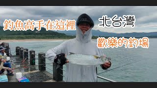 （第60集）北台灣釣魚高手在這裡歡樂的釣場珍珠魚皮勾釣法