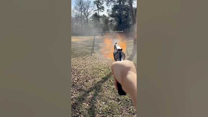 Taurus raging hunter 500 S&W magnum