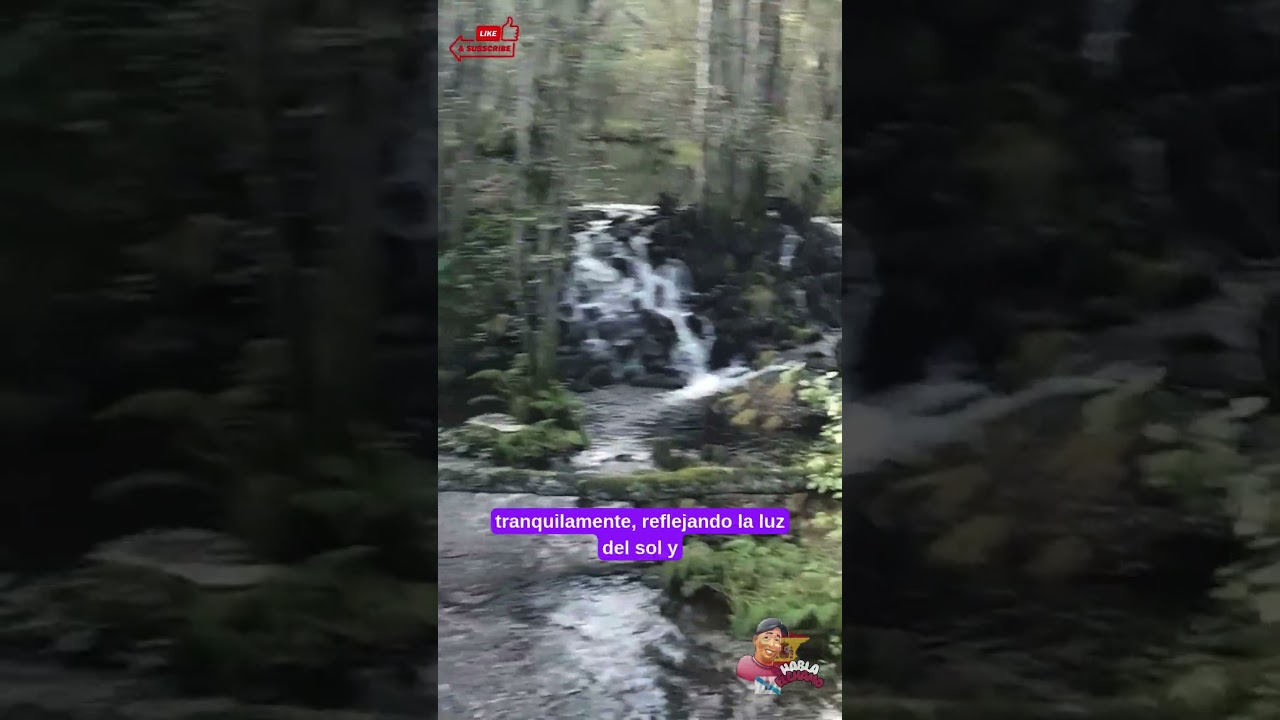 Paseo Fluvial del Río Maceda: Naturaleza y Tranquilidad en Galicia /Habla el Chamo #hablaelchamo