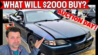 What will $2000 buy you at a Dealer Only Auction? - Flying Wheels