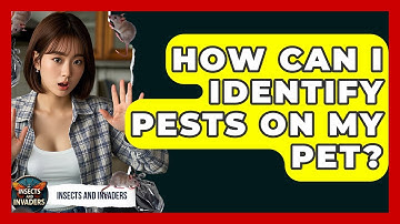 How Can I Identify Pests On My Pet? - Insects and Invaders